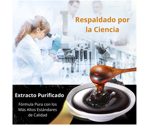 Shilajit - La Fuente Natural de Energía y Vitalidad