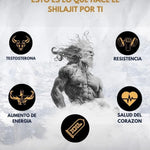 Shilajit - La Fuente Natural de Energía y Vitalidad