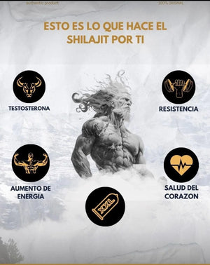 Shilajit - La Fuente Natural de Energía y Vitalidad